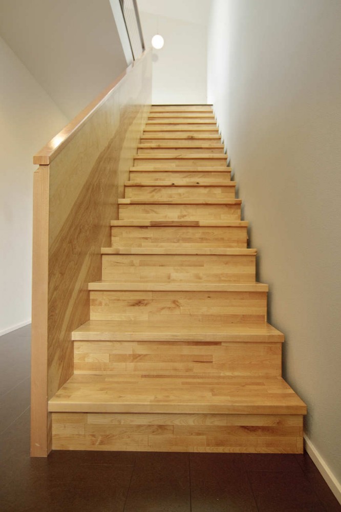 Prototype A Tract House / Works Partnership Architecture