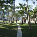 Miami Beach Soundscape / West 8 Courtesy of West 8 urban design & landscape architecture