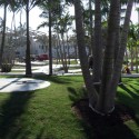 Miami Beach Soundscape / West 8 Courtesy of West 8 urban design & landscape architecture