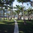 Miami Beach Soundscape / West 8 Courtesy of West 8 urban design & landscape architecture