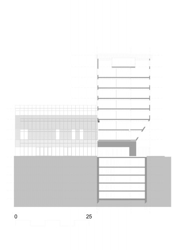 section