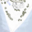 site plan site plan
