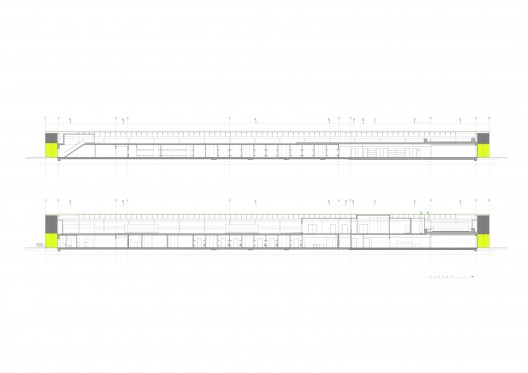 longitudinal sections