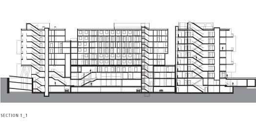 section