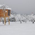 Tree House / Robert Potokar and Janez Brežnik © Andraž Kavčič, Robert Potokar, Robert Marčun