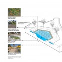 macrophytes system diagram 02 macrophytes system diagram 02 macrophytes system diagram 02