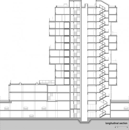 longitudinal section