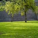 NYBERG-LUND-10 © Matt Hall
