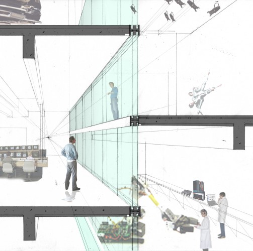 section perspective