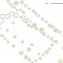 Seven Chambers Exhibition plan