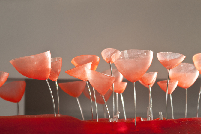 Update: “WHATAMI” by sTARTT,  winner of the 2011 YAP at the MAXXI