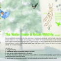 Habitat for Urban Wildlife / Ofer Bilik Architects Concept