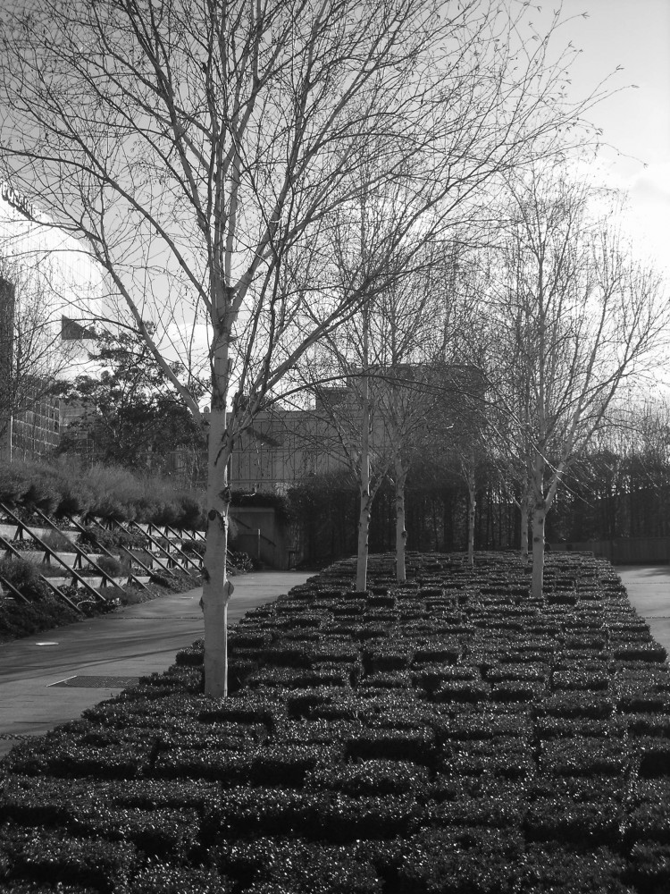 AD Classics: Parc Andre Citroen / Alain Provost