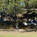Architects' Week / Tulane School of Architecture Architects' Week / Tulane School of Architecture Group 1_Nels Erickson
