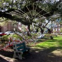 Architects' Week / Tulane School of Architecture Architects' Week / Tulane School of Architecture Group 7_David Campanella