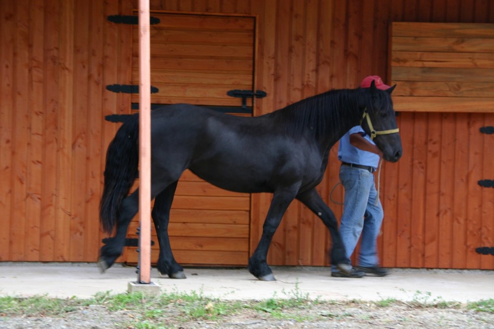 Los Leones Stables / Pablo Lamarca & Tomás Swett