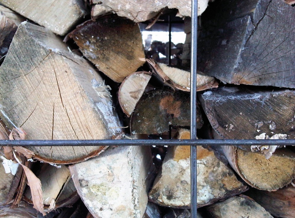 Update: WOODPILE / Noa Biran + Roy Talmon