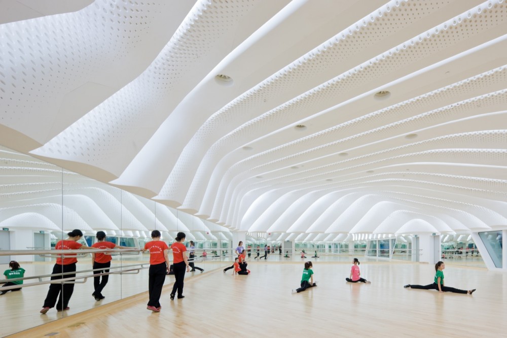 Guangzhou Opera House / Zaha Hadid Architects