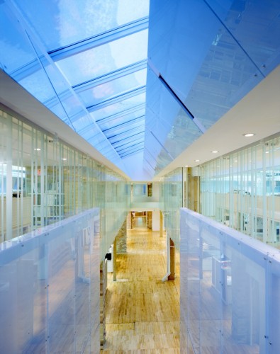 St. Joseph’s Media / Steeple Architects