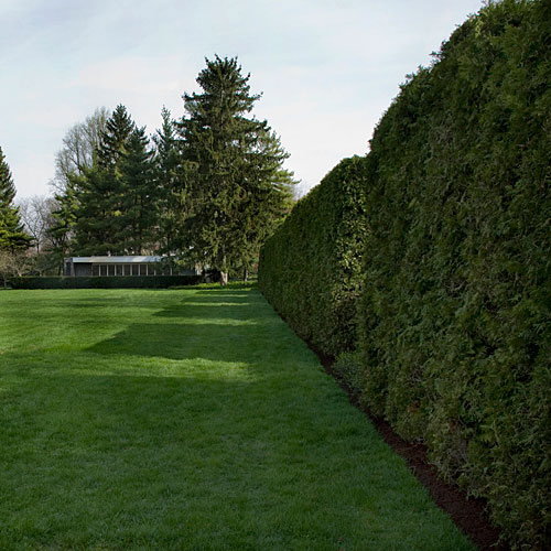 AD Classics: Miller House and Garden / Eero Saarinen