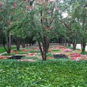 millergarden millergarden © Garden Visit