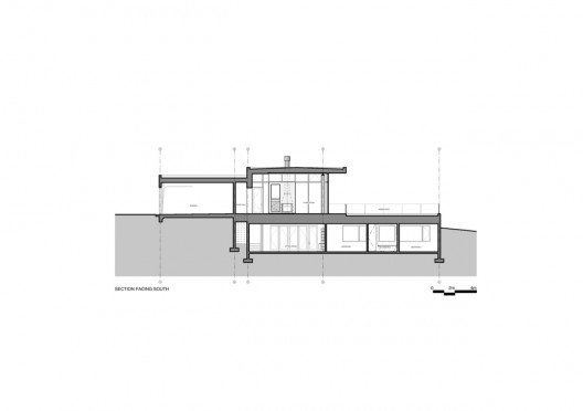 section