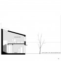 section section