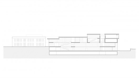 section