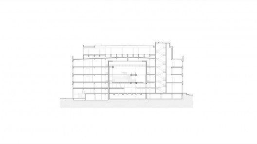 section