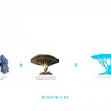 influx-studio_TREEPODS_03_biomimicry biomimicry