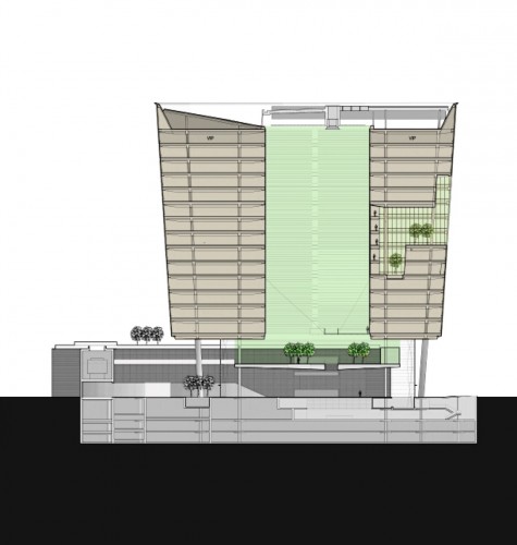section