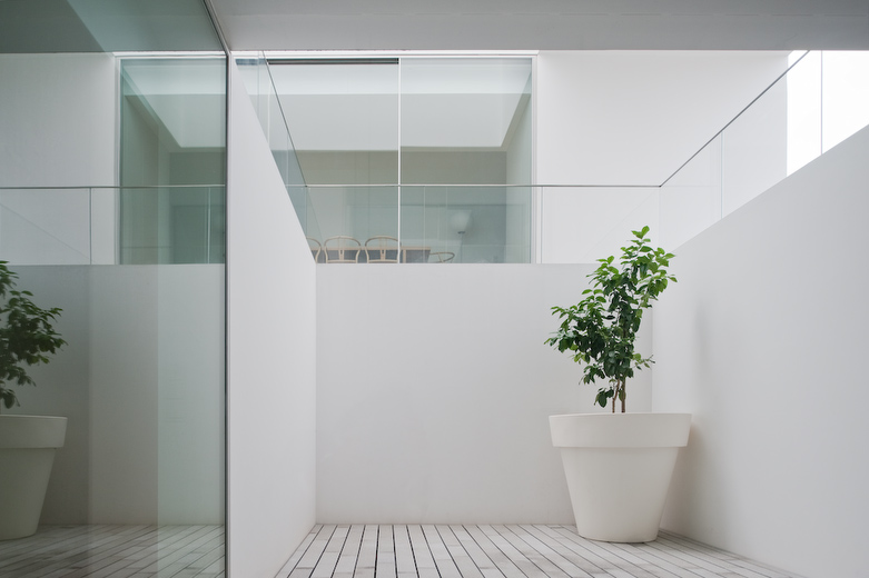 House In Leiria / Aires Mateus