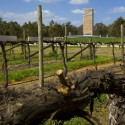 Miranda Winery / Popov Bass Architects Miranda Winery / Popov Bass Architects © Kraig Carlstrom