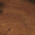 Video: Wood Reclamation at The Green Building / (fer) studio