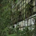 Video: The Green Wall at The Green Building / (fer) studio