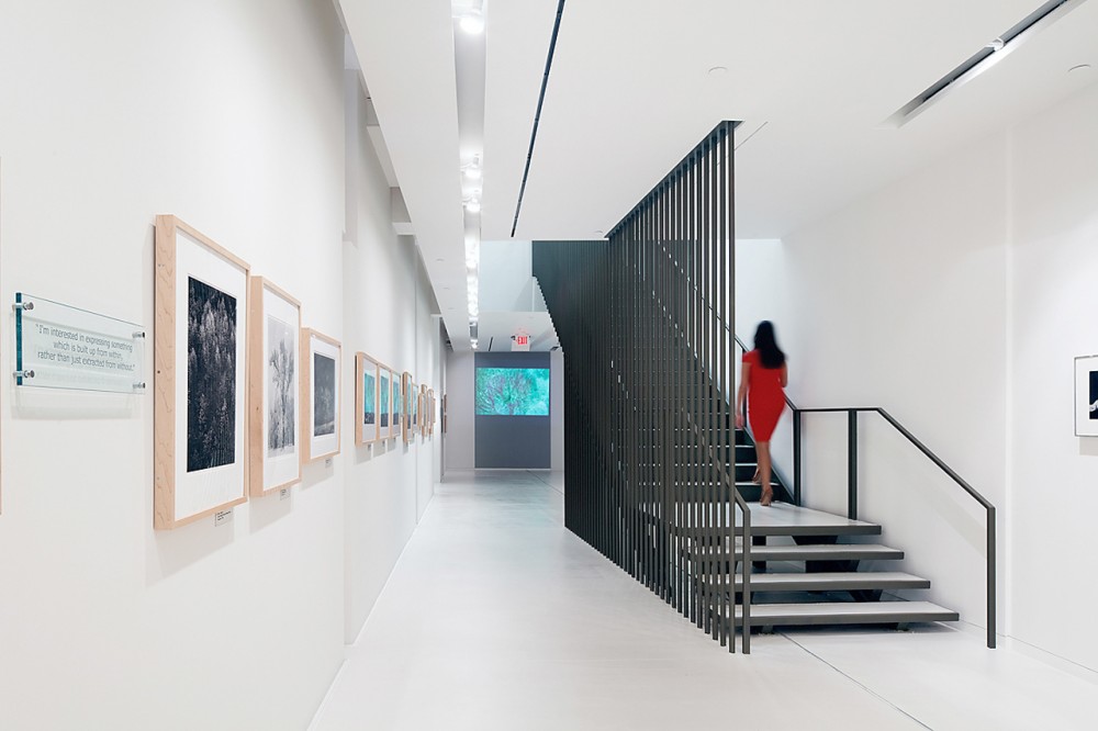 Ansel Adams Gallery / Group Goetz Architects