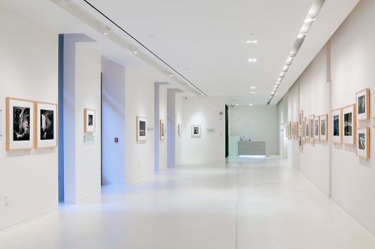 Ansel Adams Gallery / Group Goetz Architects