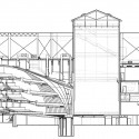 section section