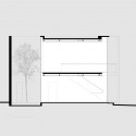 section section