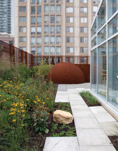 Native Child and Family Services of Toronto / Levitt Goodman Architects