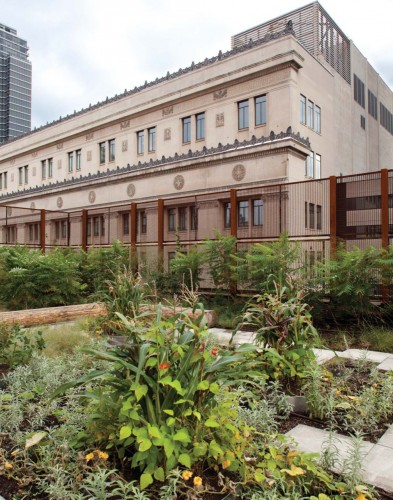 Native Child and Family Services of Toronto / Levitt Goodman Architects