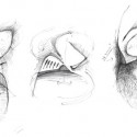 conceptual sketches conceptual sketches