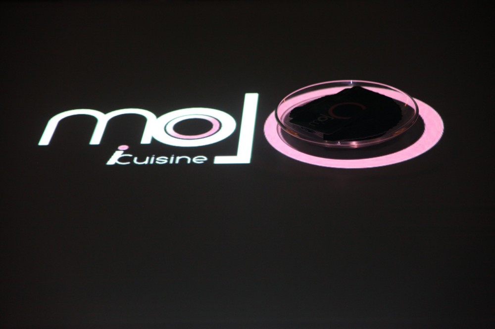 MOJO iCuisine Interactive Restaurant / Moxie Design