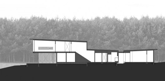 section