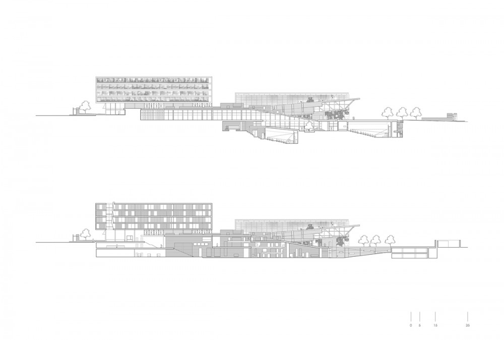 Red Sea Institute of Cinematic Arts “RSICA” / Symbiosis Designs LTD