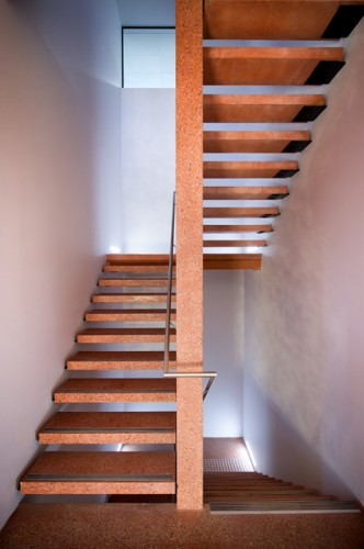 195 Melbourne Street / Tridente Architects