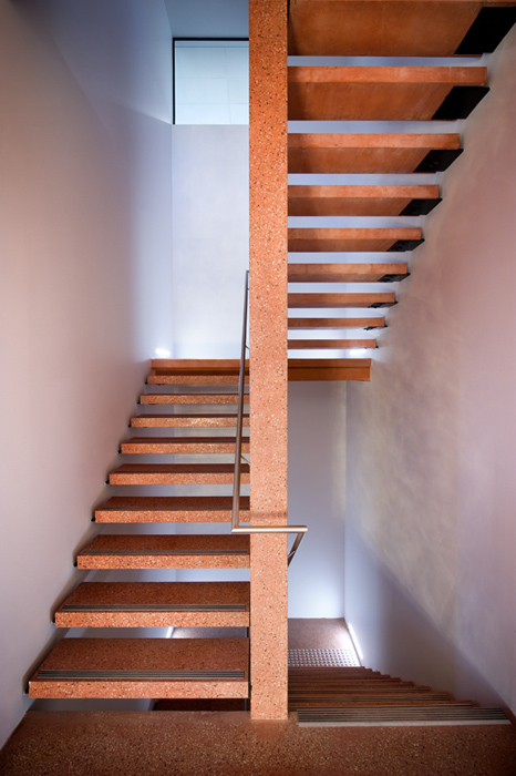 195 Melbourne Street / Tridente Architects