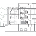 section section