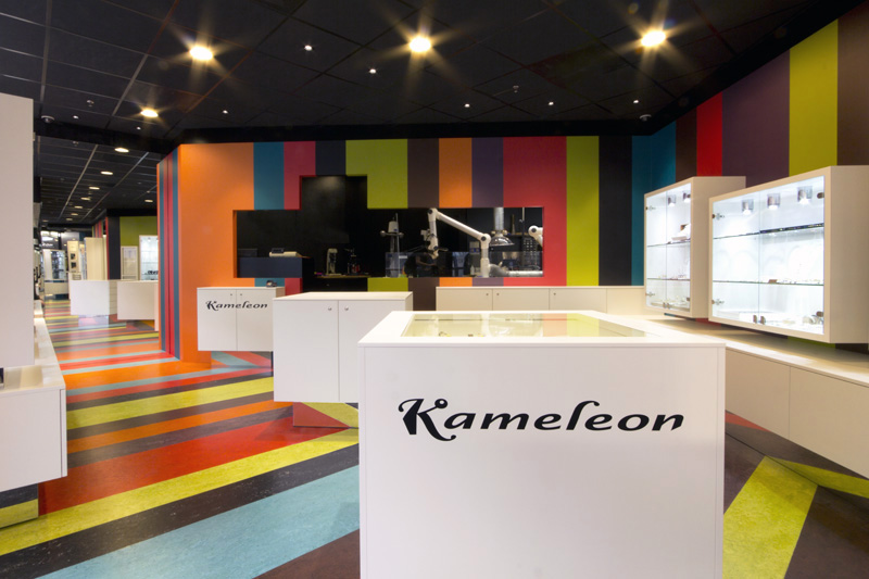 Colourful Kameleon / COEN!