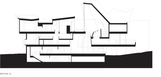 section